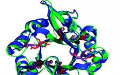 研究人員開發(fā)了一類新的人工蛋白質(zhì)