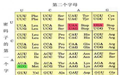 發(fā)現(xiàn)遺傳密碼演變的基本限制