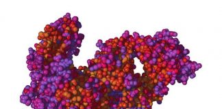 Alexion以12億美元收購Syntimmune 擴大了罕見疾病的銷售渠道