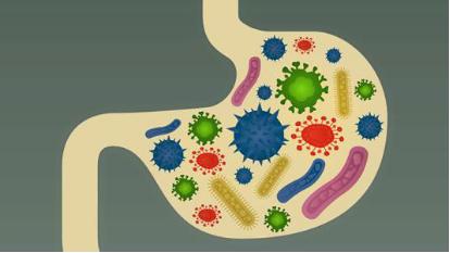 母乳和嬰兒腸道微生物群 一種古老的共生關(guān)系