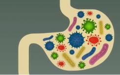 母乳和嬰兒腸道微生物群 一種古老的共生關(guān)系