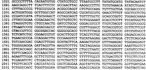 科學(xué)家解開DNA序列的秘密