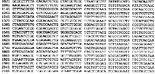 科學(xué)家解開DNA序列的秘密