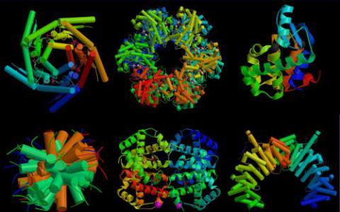 實(shí)驗(yàn)室團(tuán)隊(duì)第一次看到難以捉摸的蛋白質(zhì)結(jié)構(gòu)
