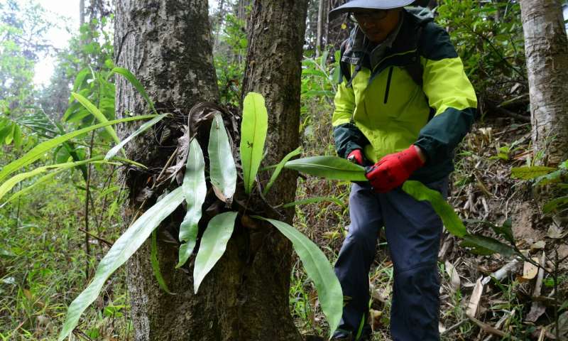 整個(gè)植物園的基因組