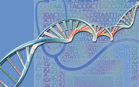 CRISPR Toolbox獲得增強(qiáng)的Cas12a用于基因組編輯