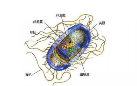 微生物的香氣可以使作物免于干旱