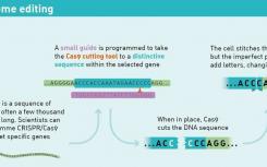 科學(xué)家破解了CRISPR代碼 用于精確的人類基因組編輯