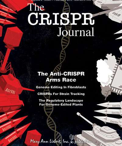 新策略提高了CRISPR-Cas9基因組編輯的效率