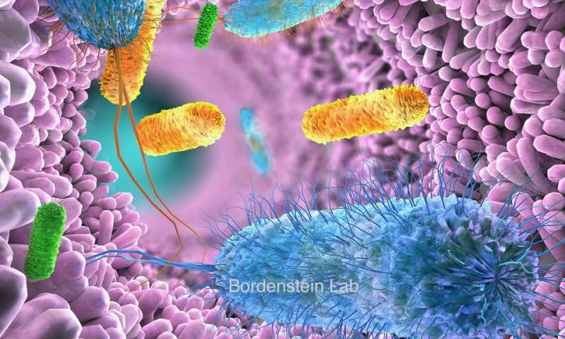 腸道微生物組在不同種族之間存在差異