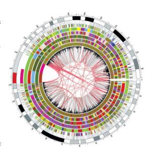 新的研究可以微調(diào)基因剪刀CRISPR