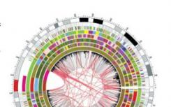 新的研究可以微調(diào)基因剪刀CRISPR