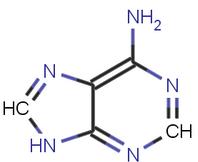 CRISPR基礎(chǔ)編輯器進(jìn)行診斷和補救檢查