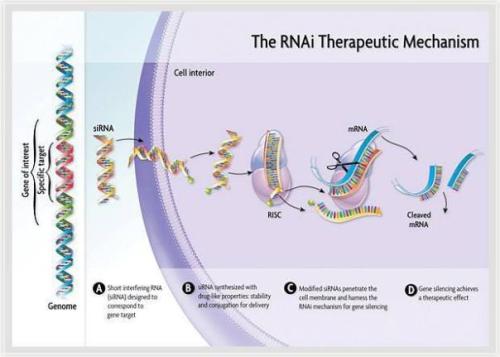 基因療法新銳Beam Therapeutic完成1.35億美元B輪融資