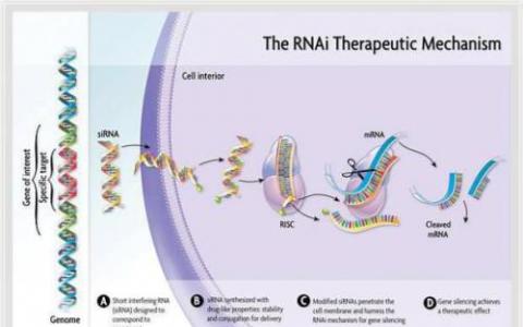 基因療法新銳Beam Therapeutic完成1.35億美元B輪融資