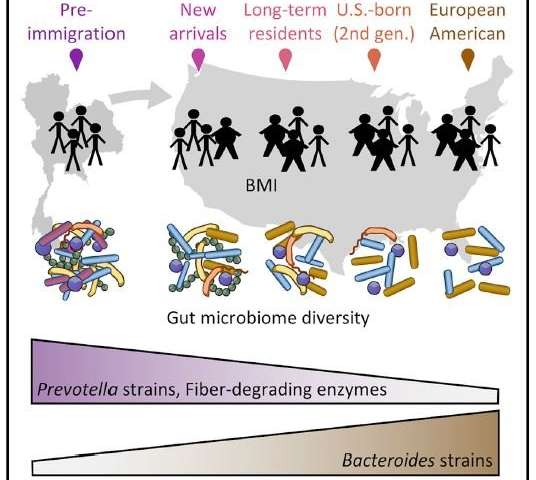 移民美國改變了一個人的微生物群