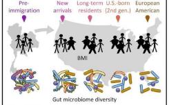 移民美國改變了一個(gè)人的微生物群