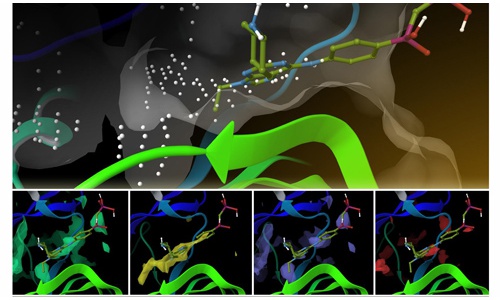 新蛋白質(zhì)測(cè)序方法可以改變生物學(xué)研究