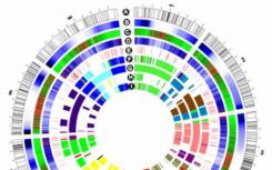 現(xiàn)場(chǎng)基因組分析的新方法