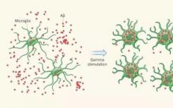新的研究發(fā)現(xiàn)細(xì)胞對(duì)疾病的反應(yīng)并不總是直的