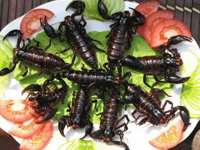 日本昆蟲美食的基因組揭示了地球的歷史