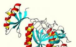 蛋白質動力學分子機器在工作