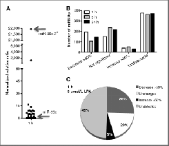 通過MicroRNA Mediator追蹤癌癥抑制途徑