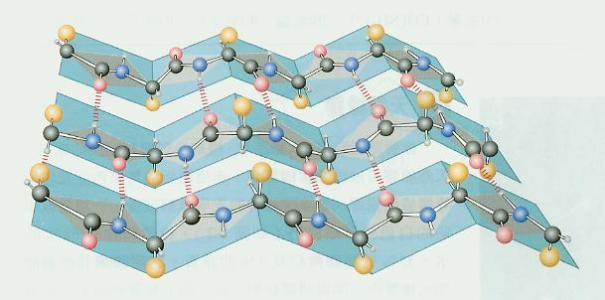 研究人員確定了控制錯(cuò)誤折疊蛋白的重要參與者