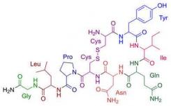 使用MDMA重新開啟催產(chǎn)素學習關鍵時期的催產(chǎn)素