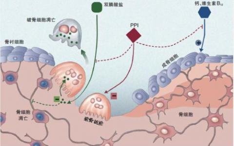 促進(jìn)植物泵抗旱的細(xì)菌