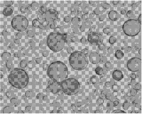 科學(xué)家們發(fā)現(xiàn)了精原干細(xì)胞自我更新因子的新功能