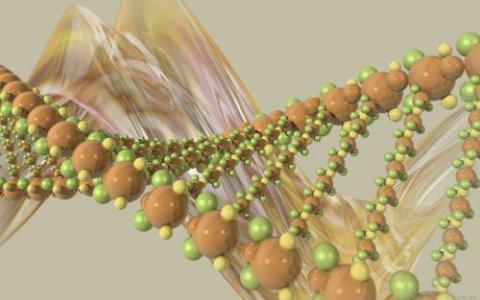 重新布線植物防御基因以減少作物浪費