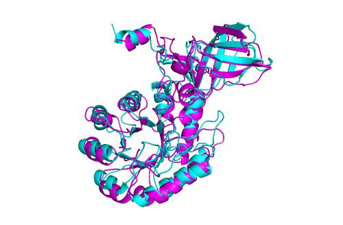 發(fā)現(xiàn)結構蛋白對X染色體失活至關重要