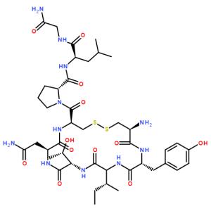 催產(chǎn)素阻止酒精依賴大鼠過量飲酒