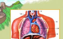 第一個(gè)3D工程血管化人類心臟生物打印