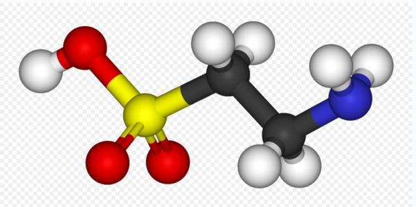 研究發(fā)現(xiàn)精子中的?；撬崛狈?dǎo)致男性不育