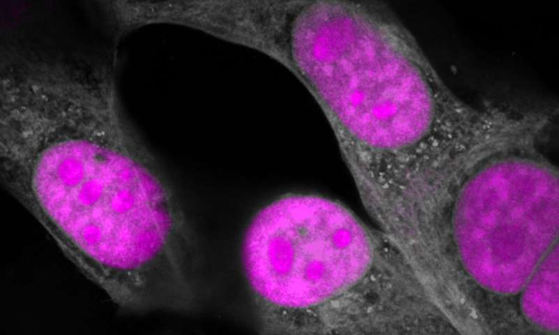 CRISPR遺傳編輯向前邁出了一大步針對RNA