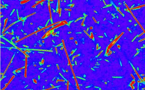 研究人員為“活”極端微生物標(biāo)記開發(fā)染料