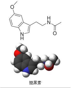 科學家們開發(fā)了兩種對睡眠和其他生物過程至關重要的褪黑激素受體圖譜