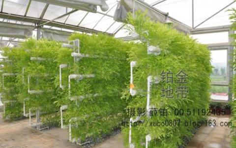 用于糧食安全的新植物育種技術