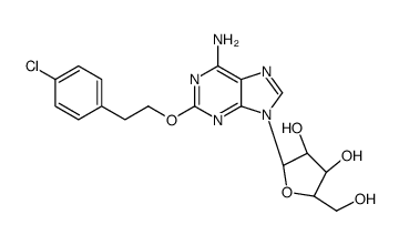 擬南芥 FLL2促進(jìn)聚腺苷酸化復(fù)合物的液液相分離