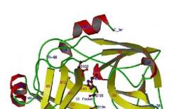 科學(xué)家開發(fā)出新的方法來(lái)識(shí)別蛋白質(zhì)的重要??未被發(fā)現(xiàn)的功能