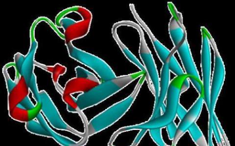 抑制核糖體生物發(fā)生作為晚期癌癥的新治療策略