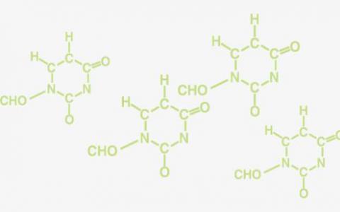 新的在線數(shù)據(jù)庫使用分子結(jié)構(gòu)使基因組成為焦點