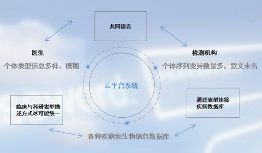 計(jì)算工具使用患者的基因組數(shù)據(jù)來(lái)找到膀胱癌的最佳治療方法