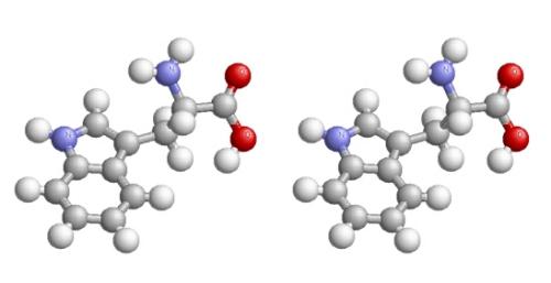 許多蛋白質(zhì)的功能仍不清楚