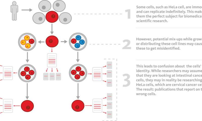 細胞系錯誤鑒定如何污染科學文獻