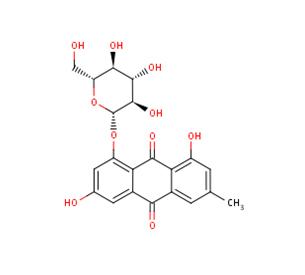 生物加工工程師從油籽粕中回收硫代葡萄糖苷