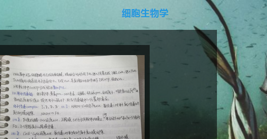 生命與醫(yī)藥學院筆記征集活動網(wǎng)絡評選開始