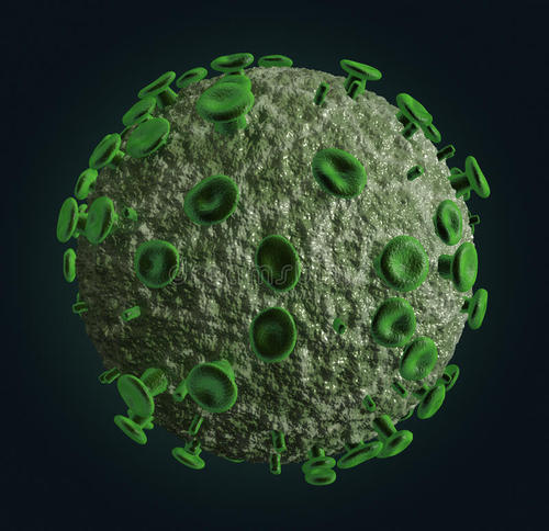 解釋纖毛在確保某些細(xì)菌被排除在生物體外的積極作用